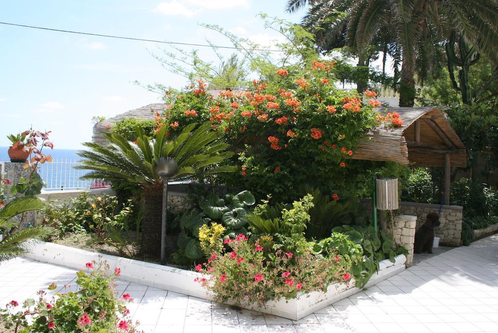 Hotel Villa Bina Sant'Angelo  Zewnętrze zdjęcie
