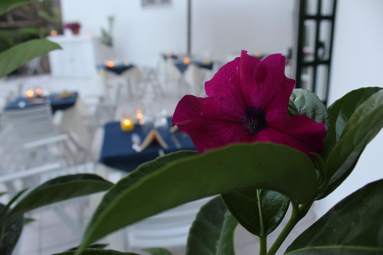 Hotel Villa Bina Sant'Angelo  Zewnętrze zdjęcie